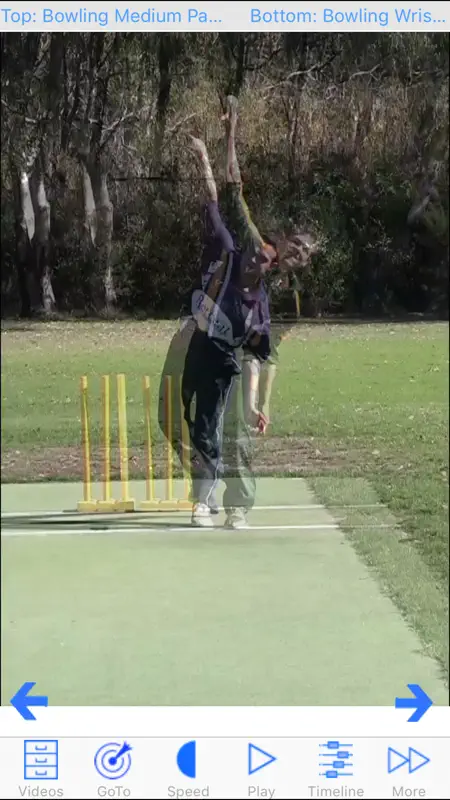 Cricket Coach Plus HD screenshot 3 of 4