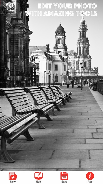 Black and White Picture Camera