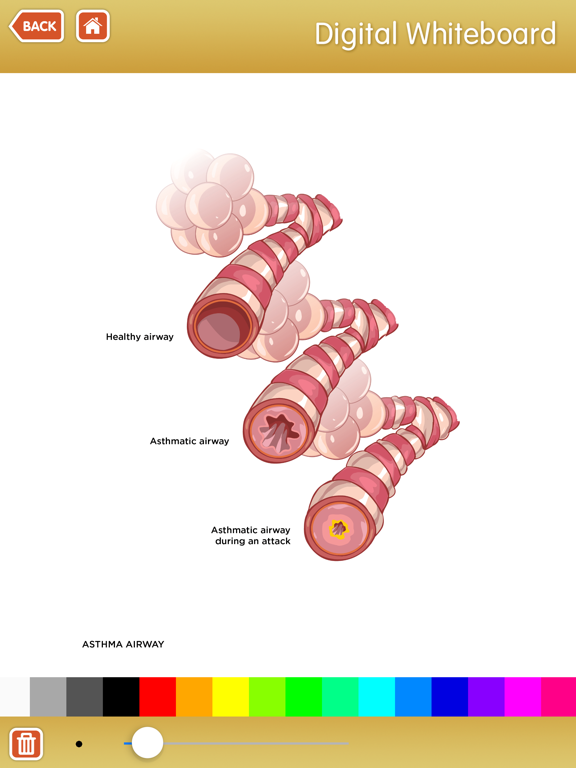 Screenshot #6 pour KidSpeak - Kids Medical Preps