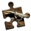 Crocodile Lovers Puzzle icon