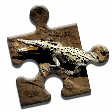 Crocodile Lovers Puzzle Cheats