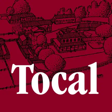 Tocal Читы
