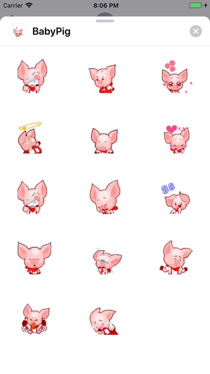 Baby Pig