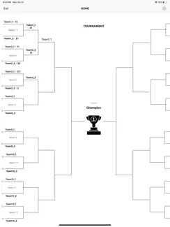 Tournament Bracket Maker Pro iPad image 1