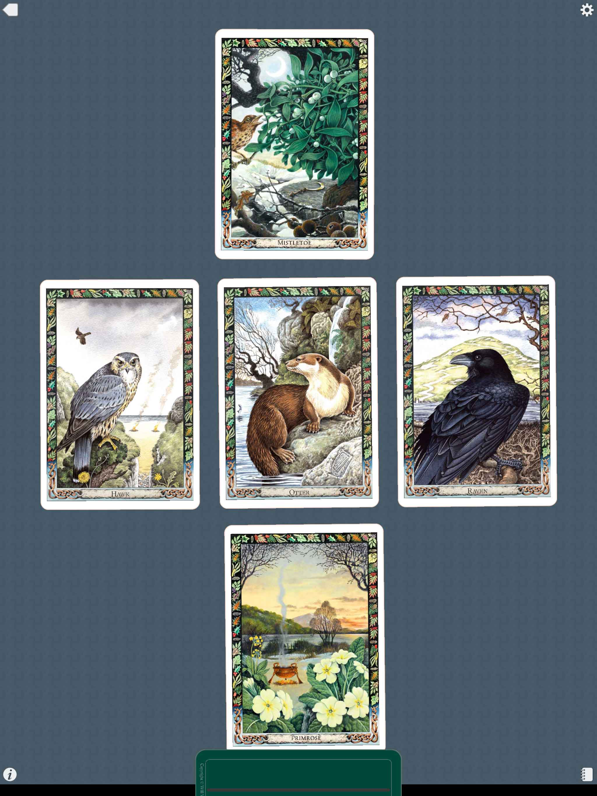 Druid Oracle Cards