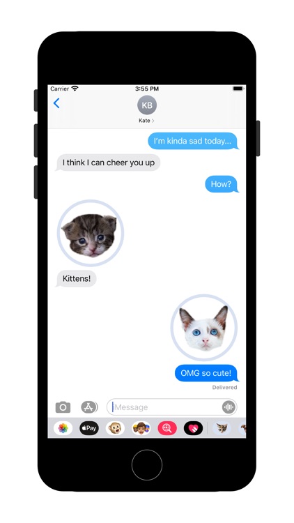 Cute Kitten - Stickers