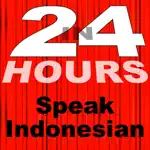 In 24 Hours Learn Indonesian App Cancel