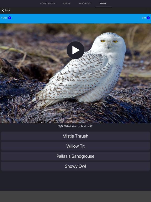 Screenshot #6 pour Bird Sounds and Bird Calls