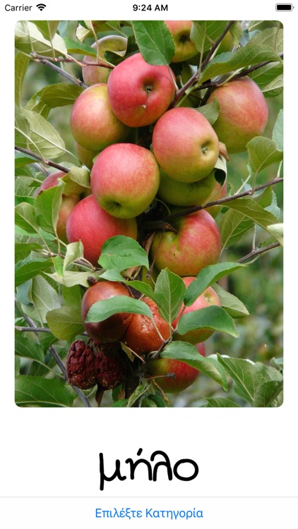 Δραστηριότητες για Παιδιά screenshot-3