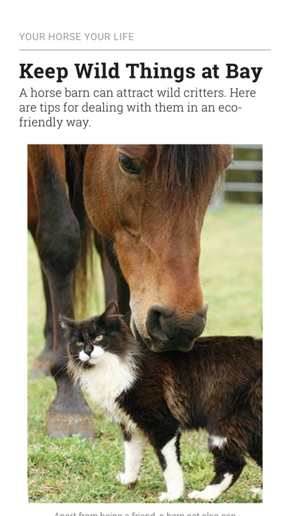 Horse&Rider USA screenshot-6