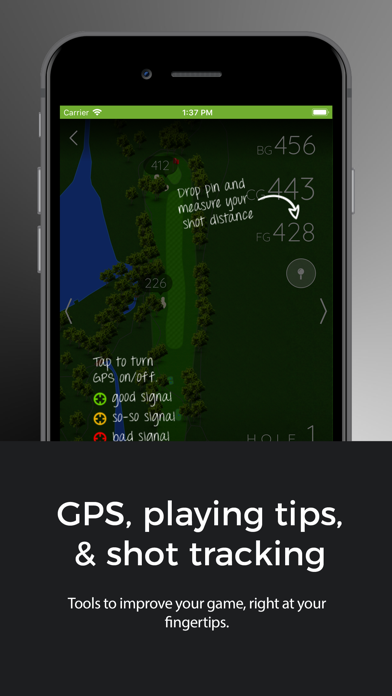 Stonetree Golf Club Screenshot