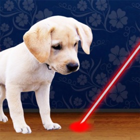 Snímky obrazovky (8) Laser Pointer for Dogs