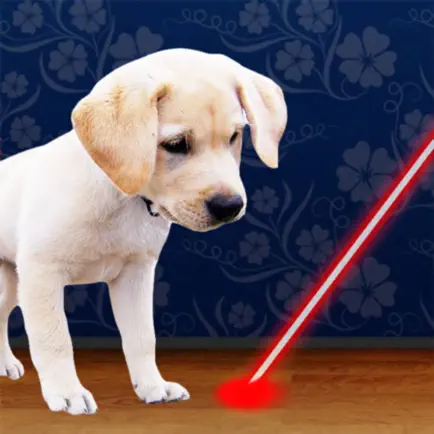 Laser Pointer for Dogs Cheats