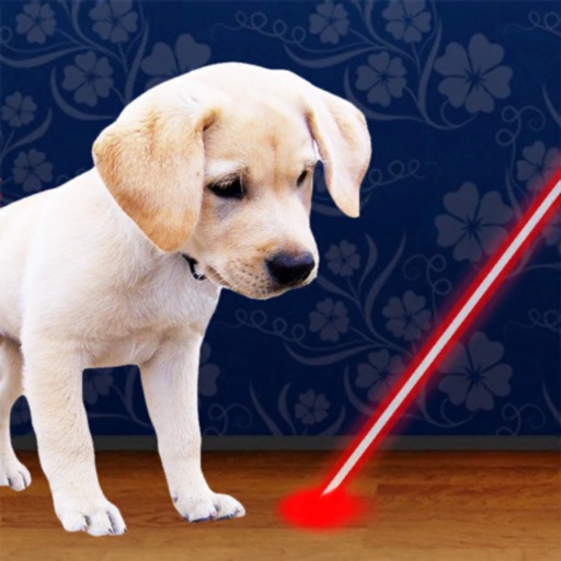 Laser Pointer for Dogs Icon