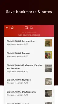 Audio Bibles iphone bilder 2