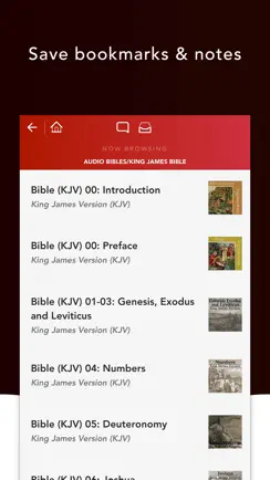 Audio Bibles iPhone image 3