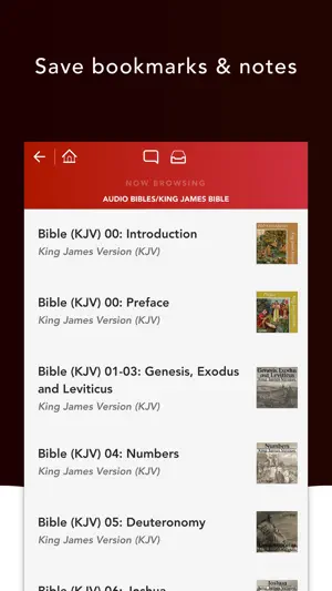 Audio Bibles screenshot 3