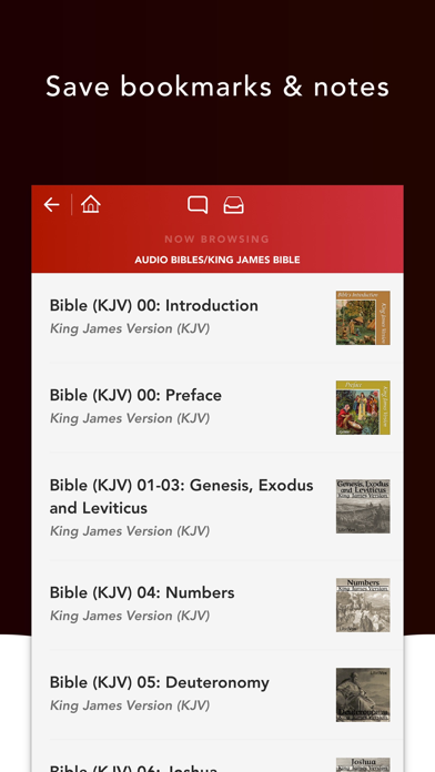 Audio Bibles Screenshot