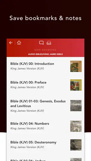 Audio Bibles iPhone Screenshot 3