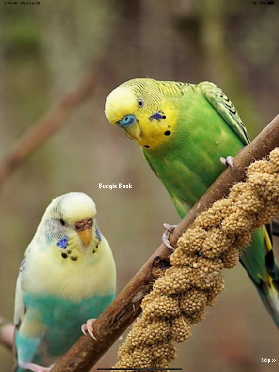 Screenshot #4 pour Budgie Book