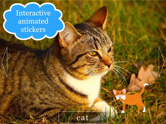 Screenshot #5 pour Animaux domestiques sauvages