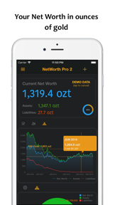 NetWorth Pro 2 screenshot