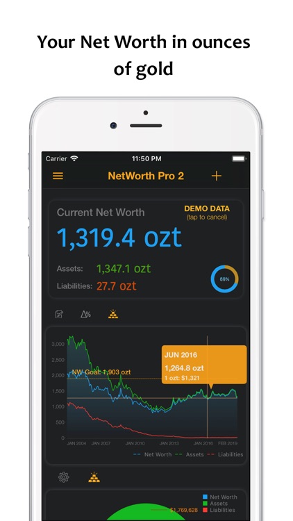 NetWorth Pro 2 screenshot-5