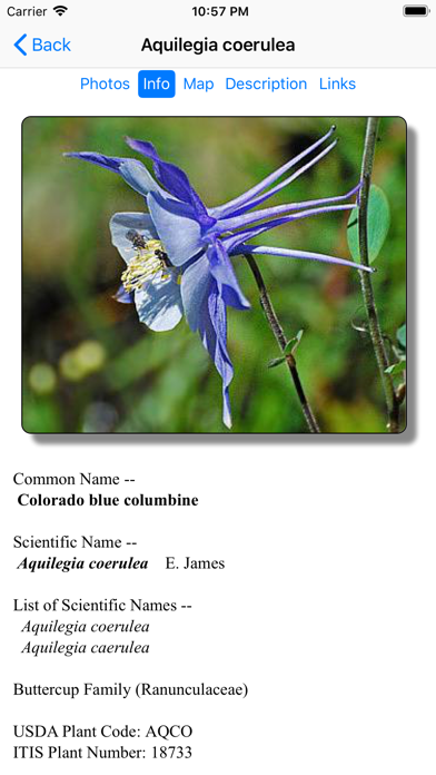 Colorado Wildflower Search Screenshot