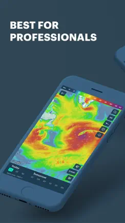 Windy Pro: marine weather app iPhone image 1