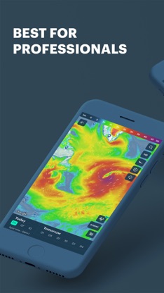 Windy Pro: marine weather app screenshot 1