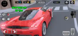 Game screenshot Driving License School Test mod apk