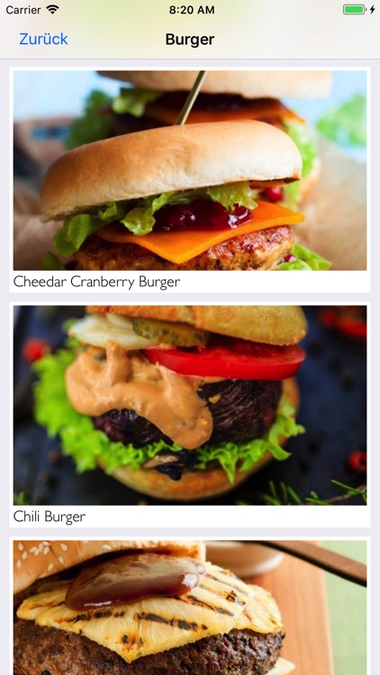 Grill Rezepte zum Grillen screenshot-4