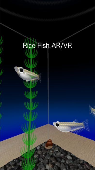 Rice Fish AR/VR Screenshot