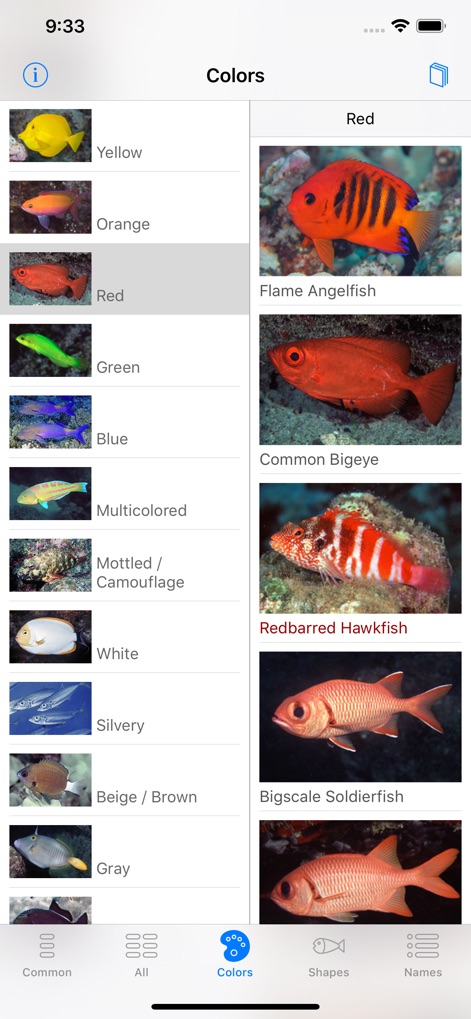 Scuba Fish Hawaii - Travel App | MWM