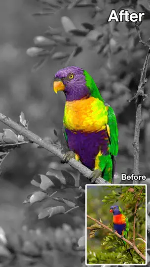 Скриншот Color Changer-Coloring Editor на iPhone 5