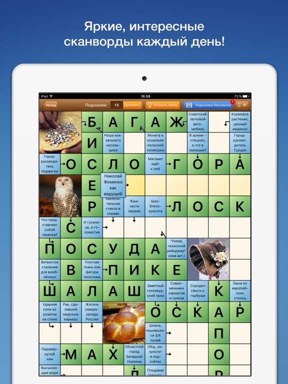 Сканворды Дня на iPad