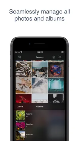 Game screenshot Swipe: Photo Organizer mod apk