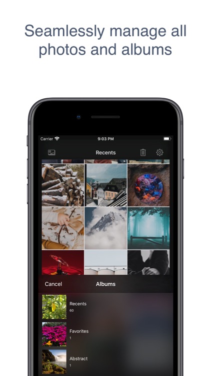 Swipe: Photo Organizer