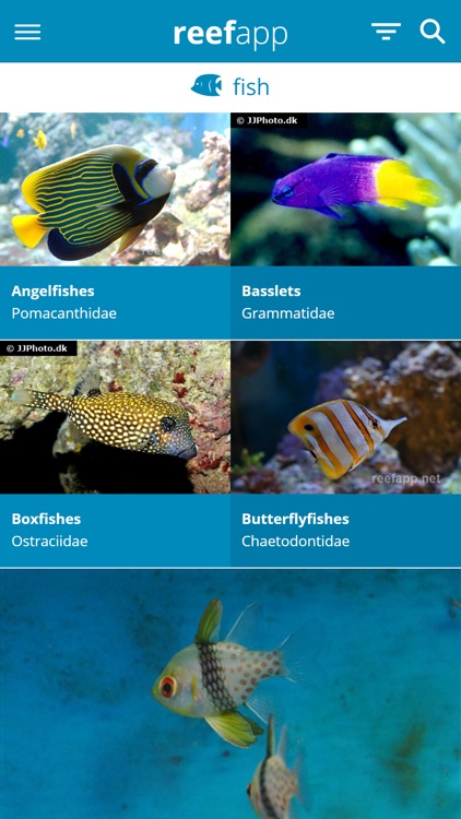 Reef App - Encyclopedia