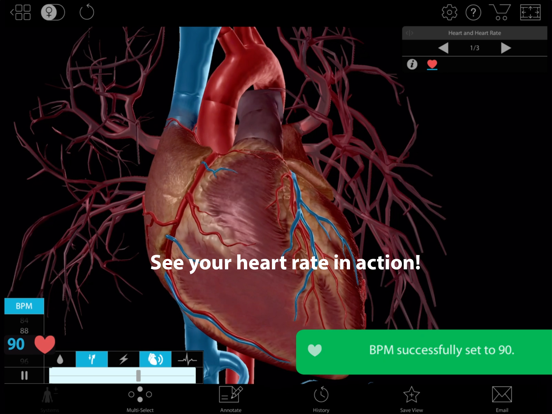 Physiology & Pathology iPad app afbeelding 7