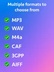 audio type converter ipad images 2