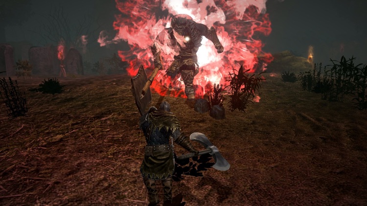 Animus - Harbinger Unpacked