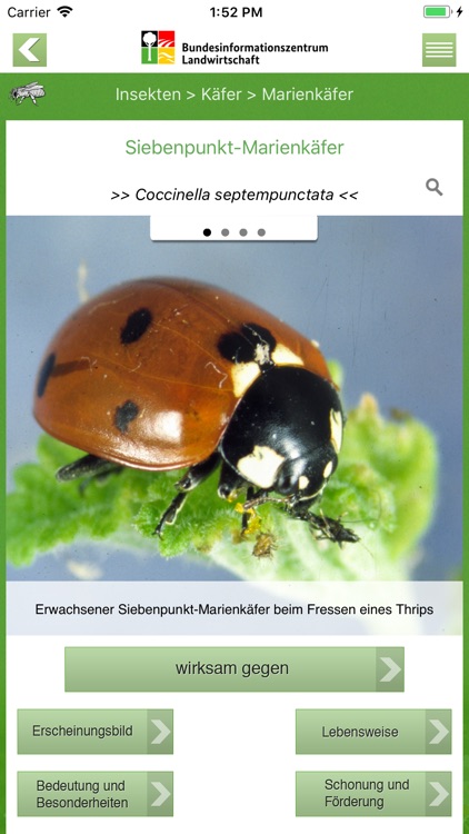 Nützlinge im Garten screenshot-3