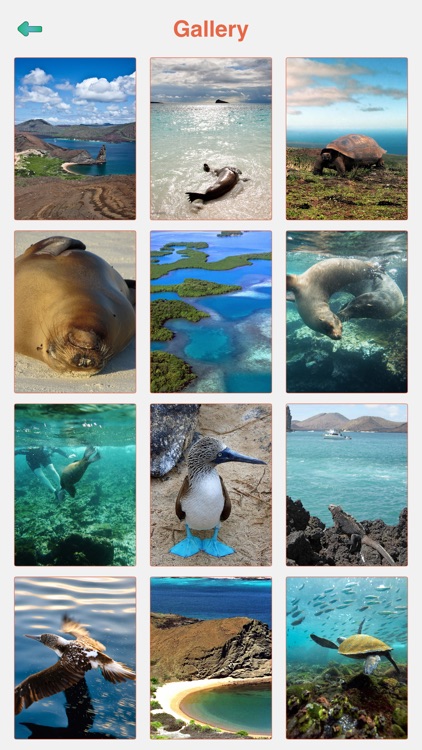 Galapagos Islands Tour Guide screenshot-3