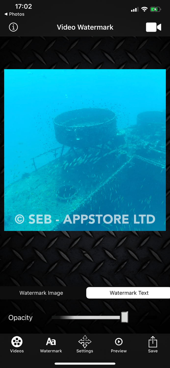 Video Watermark