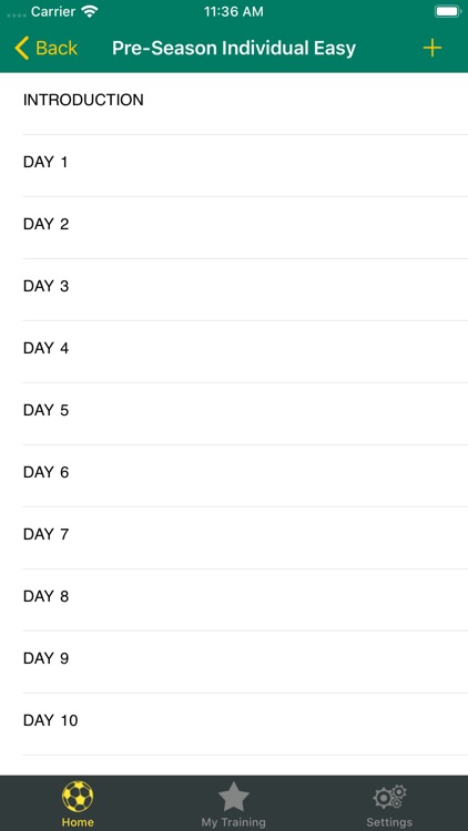 Pre-Season Soccer training