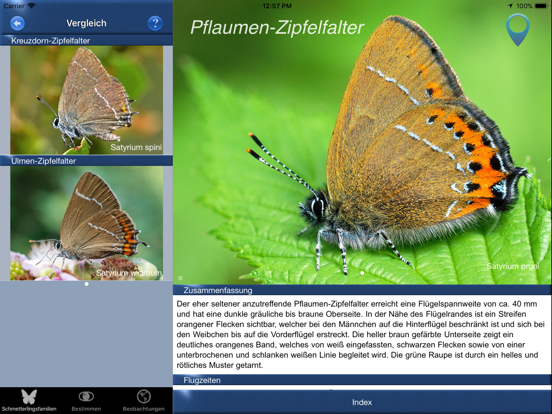 Screenshot #6 pour Schmetterling Id - Tagfalter