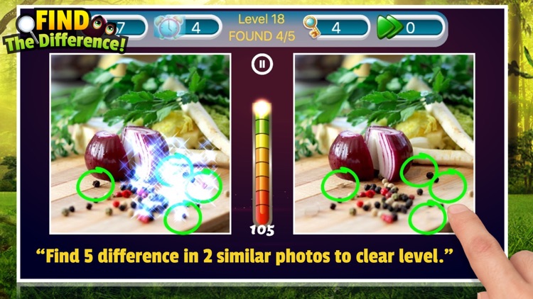 Spot the difference detective