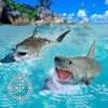 Scuba & Shark Game – Hunting