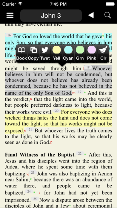 Catholic New American Bible RE Screenshot